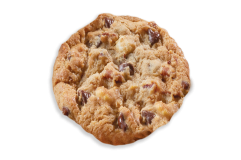 choc chip pecan cookie