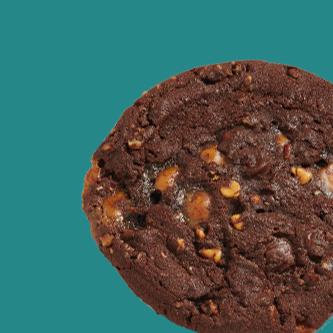 Turtle Chocolate Frozn Cookie Dough