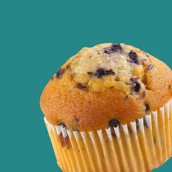 Wild Blueberry Muffin