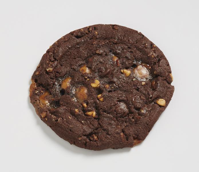 Turtle Cookies
