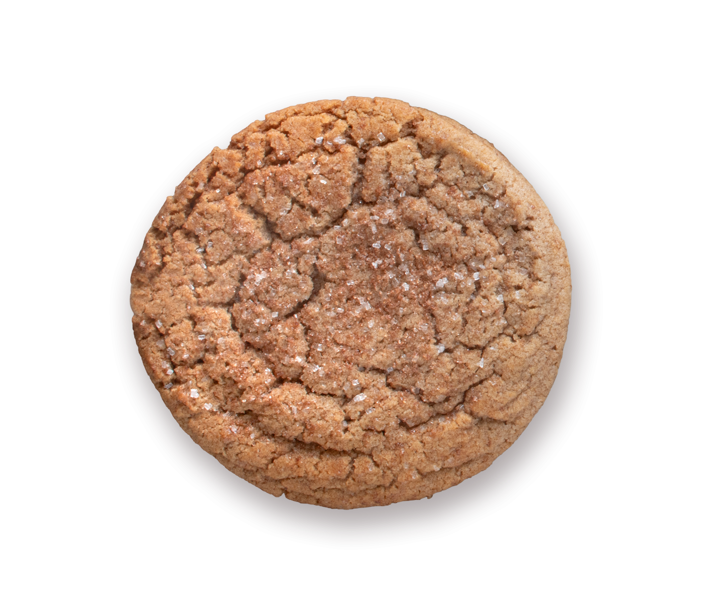 Snickerdoodle